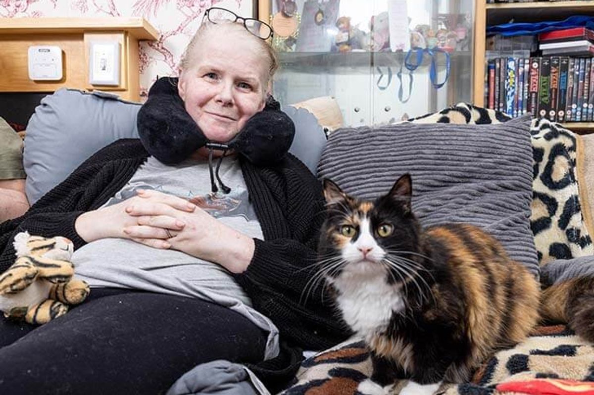 national cat awards, cat saves diabetic, willow the cat