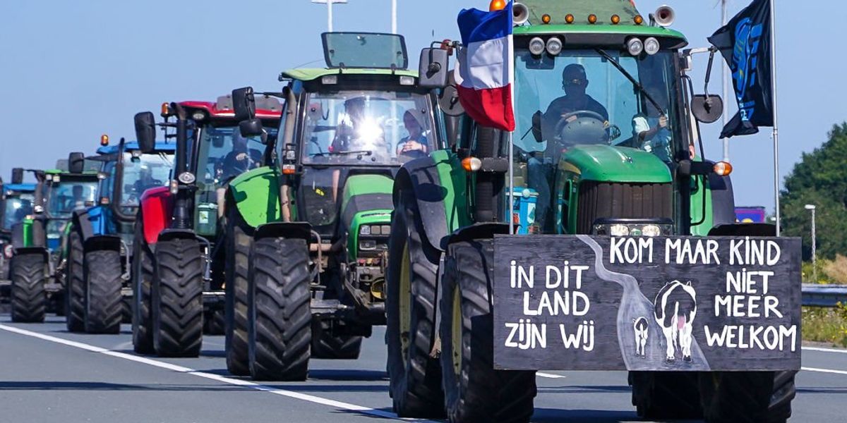 NextImg:EU approves scheme to close 3,000 Dutch farms and permanently ban owners from farming elsewhere
