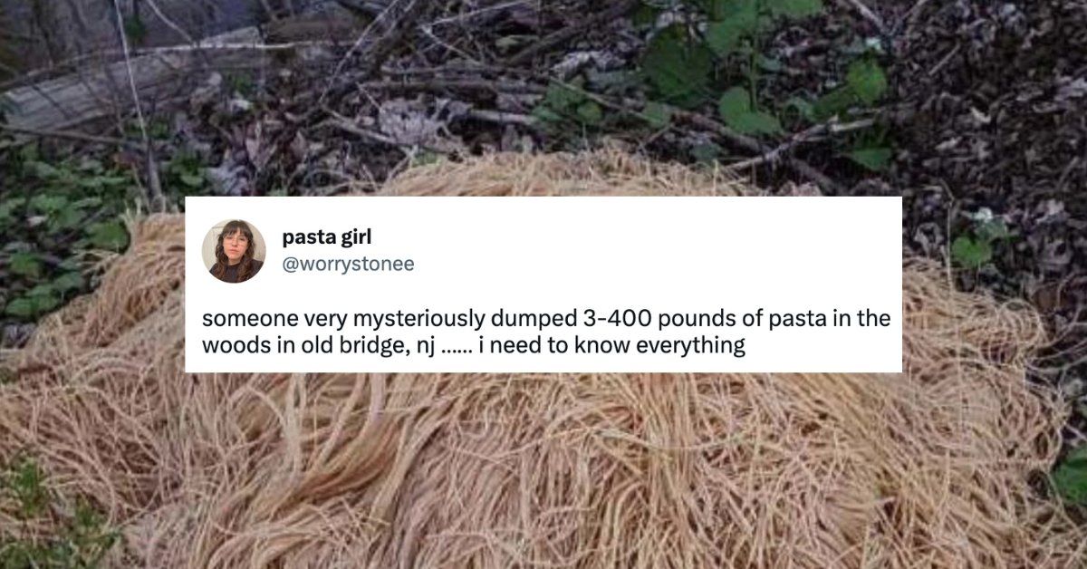 Screenshot of mound of spaghetti found in the woods, with tweet overlayed reading: "someone very mysteriously dumped 3-400 pounds of pasta in the woods in old bridge, nj ...... i need to know everything"
