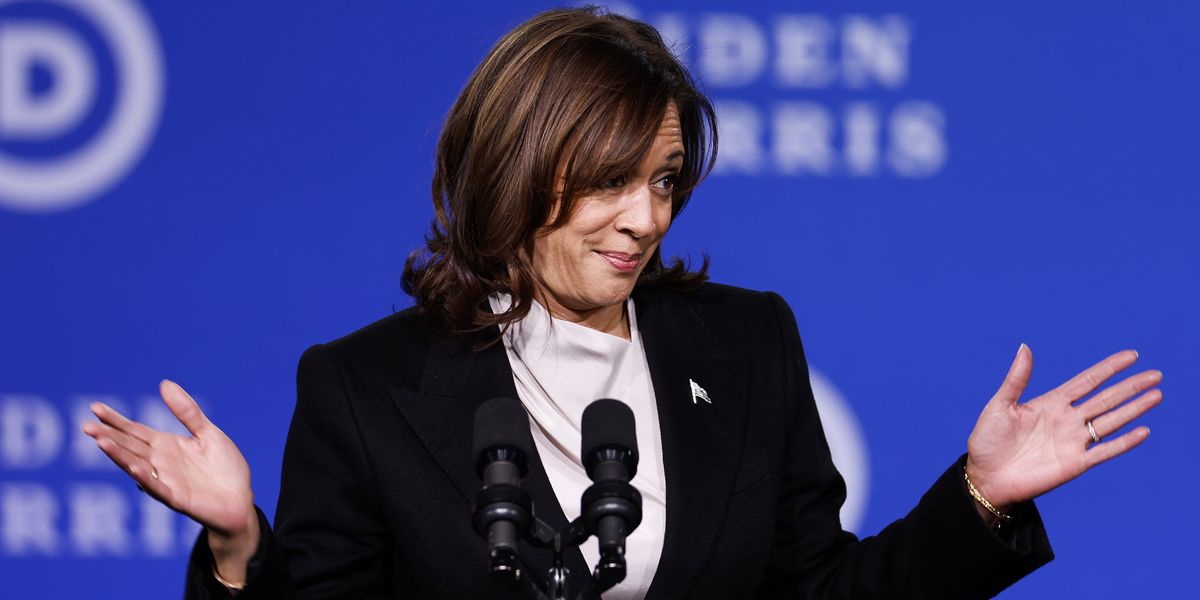 NextImg:Kamala Harris tasked with cracking down on AI after proving unable to deal with border security