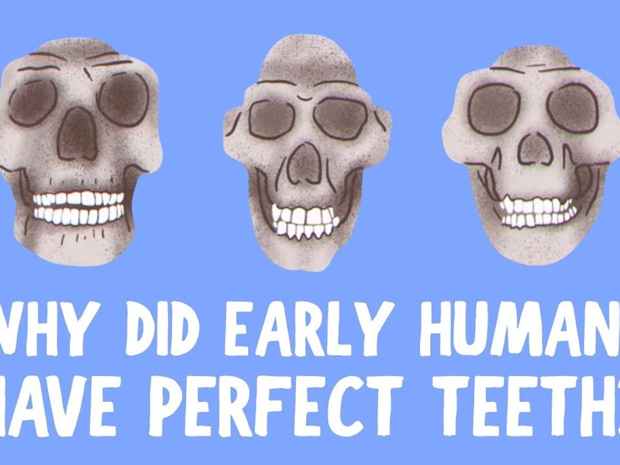 O vídeo explica por que os primeiros humanos naturalmente tinham dentes retos e nós não.