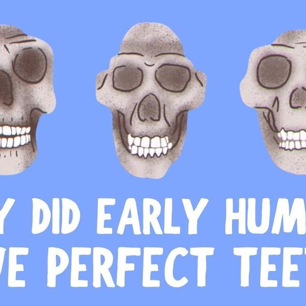 Video vysvetľuje, prečo mali prví ľudia prirodzene rovné zuby a my nie