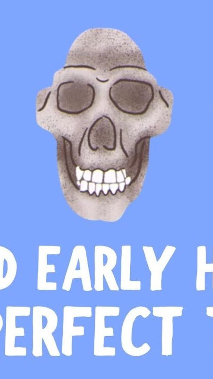 Vaizdo įraše paaiškinama, kodėl ankstyvieji žmonės natūraliai turėjo tiesius dantis, o mes ne