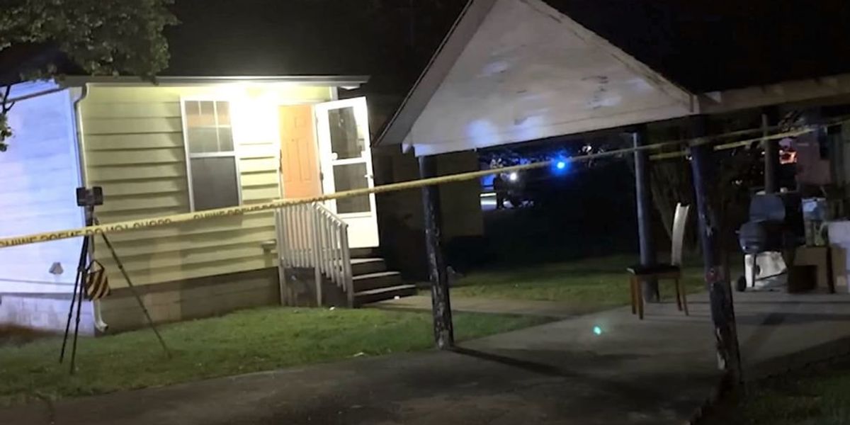 NextImg:Home intruders use a Taser on dog and threaten teenager with gun — so homeowner shoots one dead and injures the other