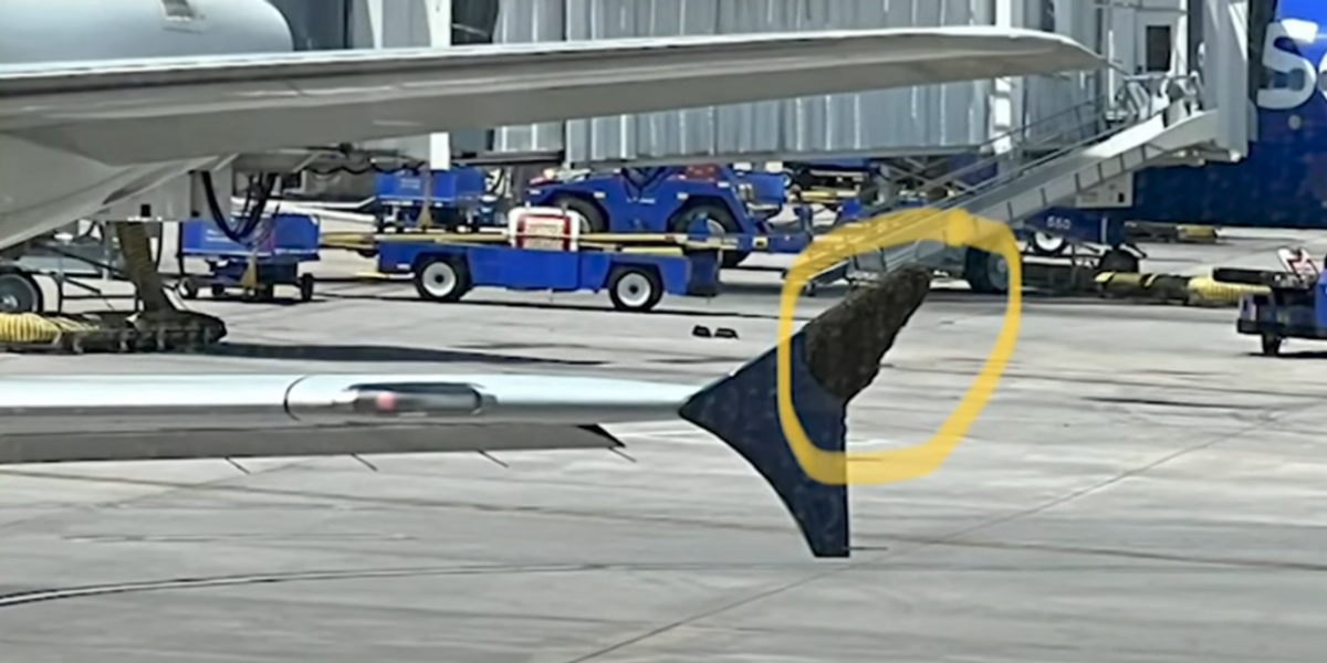 Swarm of bees delays flight for hours after insects resist airport staff’s dispersal techniques Swarm of bees delays flight for hours after insects resist airport staff’s dispersal techniques
