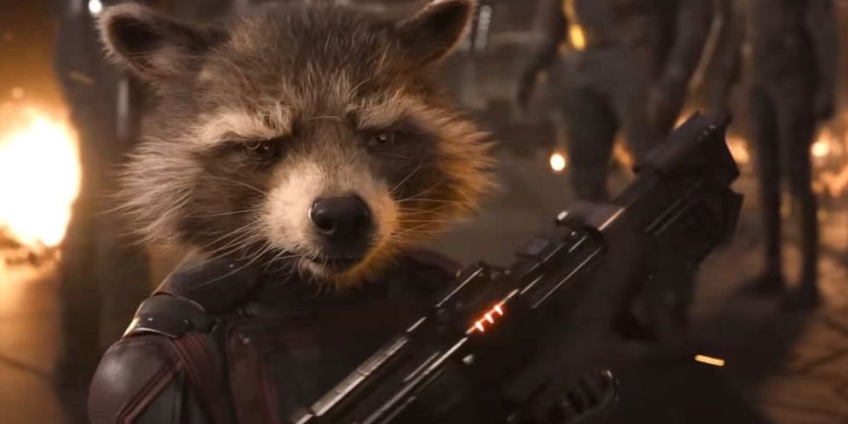 NextImg:PETA declares latest 'Guardians of the Galaxy' movie the 'best animal rights film of the year'
