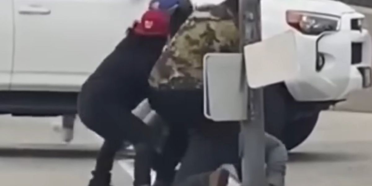 NextImg:Good Samaritans subdue brute caught beating on highway patrol officer: 'Not very often that you see something like that'