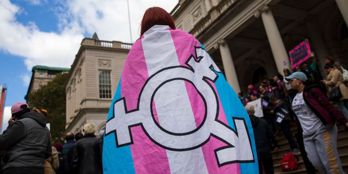 NextImg:'Socially contagious' gender dysphoria study retracted from journal after trans activists retaliate