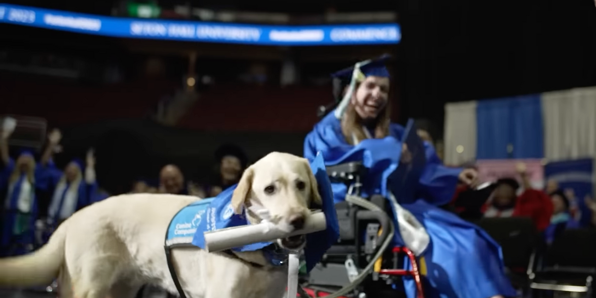 NextImg:Video: Service dog receives diploma alongside Seton Hall University graduate; audience erupts in cheers
