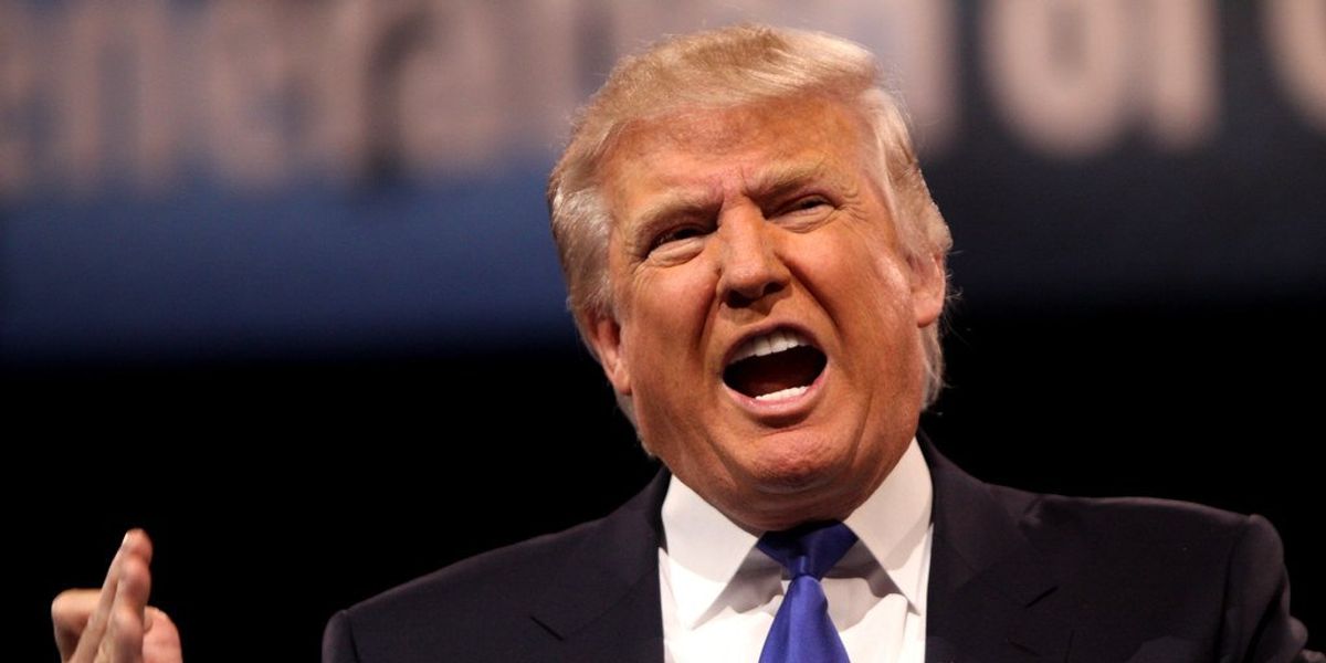 Knives Out In Trumpland As Lawyers Find Representing Serial Con Man Has Its Perils - Vimarsana News