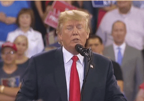 Why Does Trump Want Names Of Everybody Investigating Him, It Is A Witness Intimidation Treason Mystery!