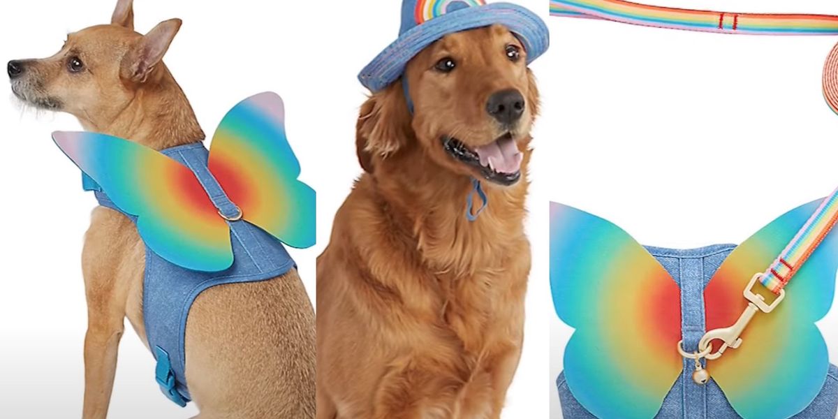 NextImg:PetSmart faces backlash for LGBTQ themed products 'for your gender-fluid fish' and other pets