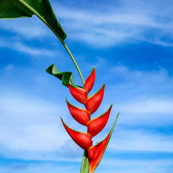 David LaChapelle in mostra a Trieste