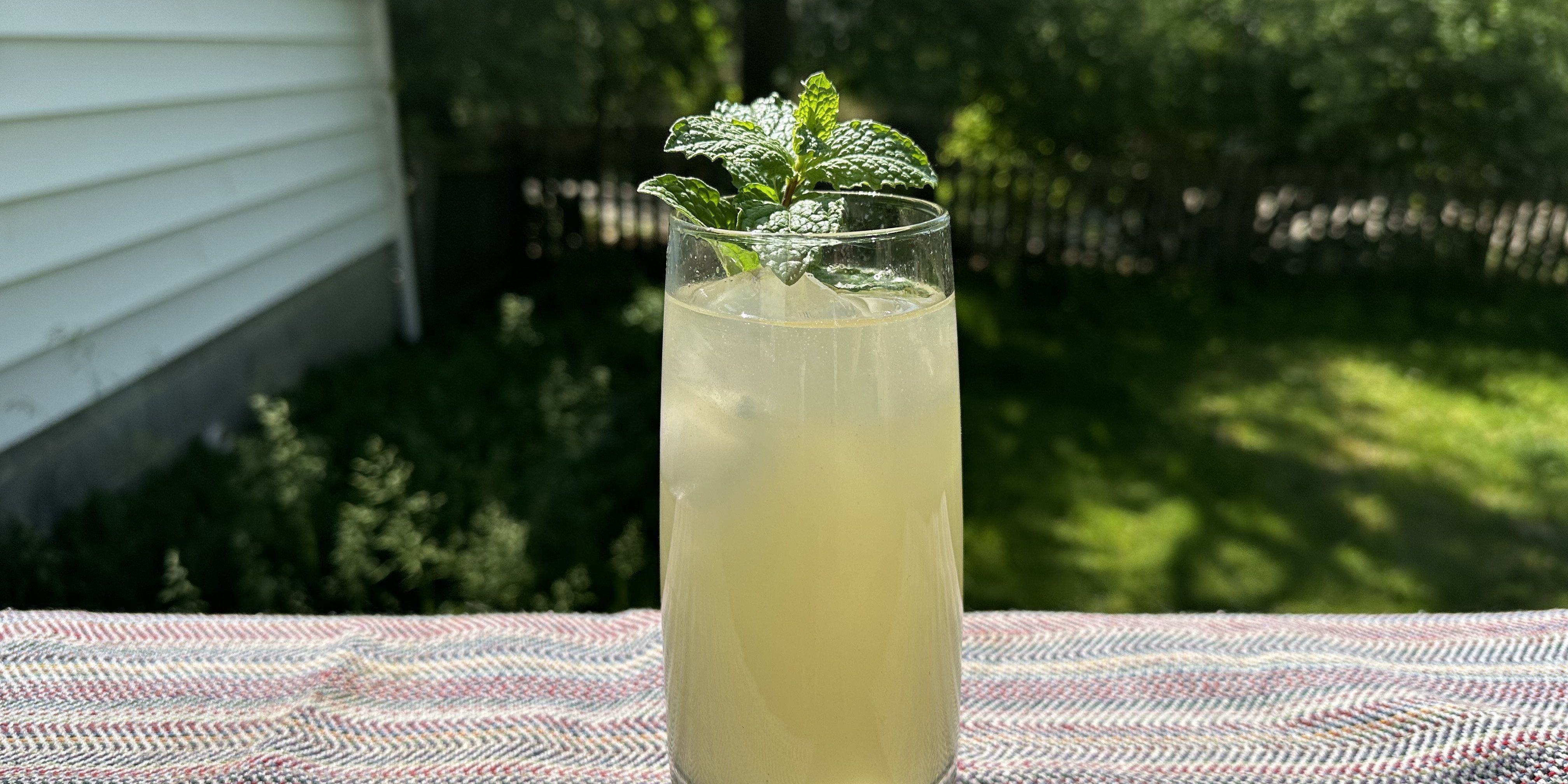 Welcome To Wonkette Happy Hour, With This Week's Cocktail, The Gin-Gin Mule! - Vimarsana News