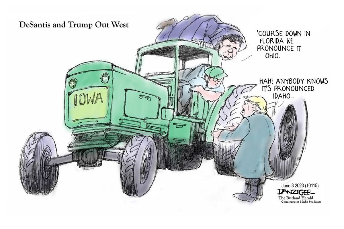 Danziger Draws