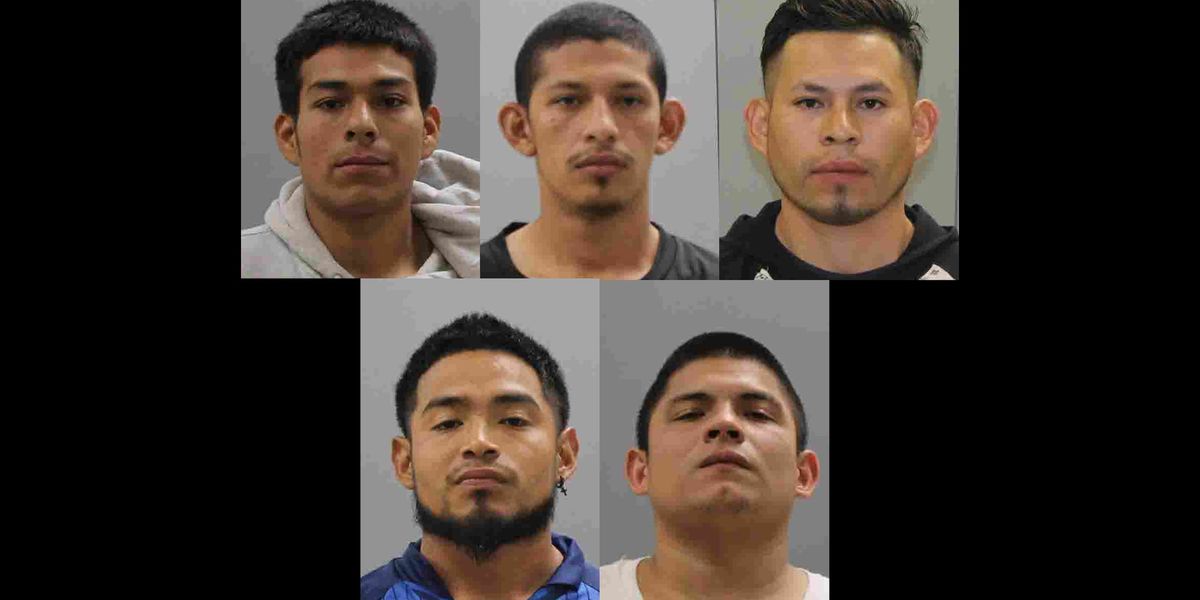 NextImg:Five illegal aliens affiliated with MS-13 charged in murder of 15-year-old Maryland boy