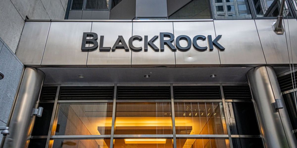 NextImg:'Follow the money': Ex-Anheuser-Busch exec explains how investment firms pressure major corporations to go woke