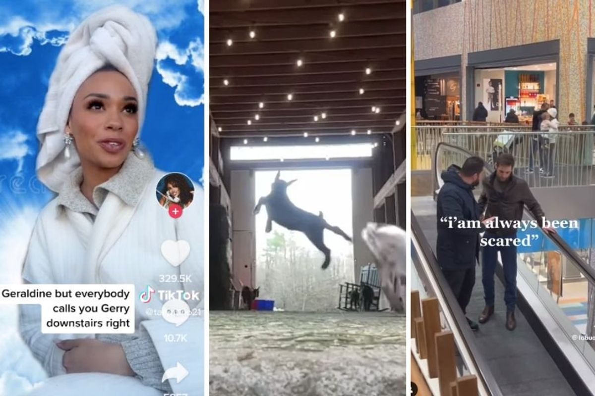 heaven's receptionist, dancing goat, scared on escalator