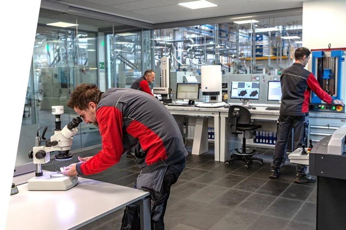 La prima solidarietà: levare le tasse