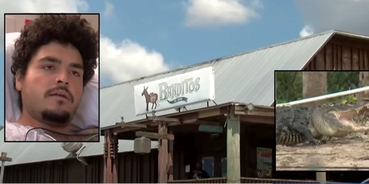 NextImg:VIDEO: Florida man falls into pond he was peeing into behind bar and loses arm to alligator attack