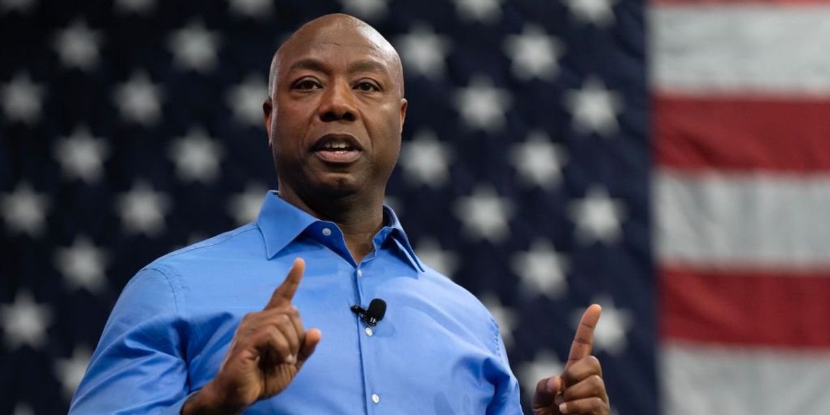 NextImg:Horowitz: Tim Scott has already disqualified himself by choosing ‘grievance over greatness’