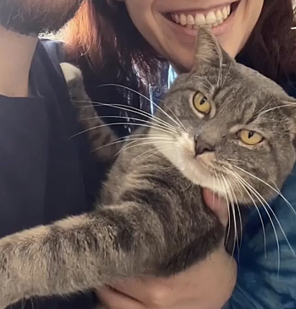 cat happy adopted