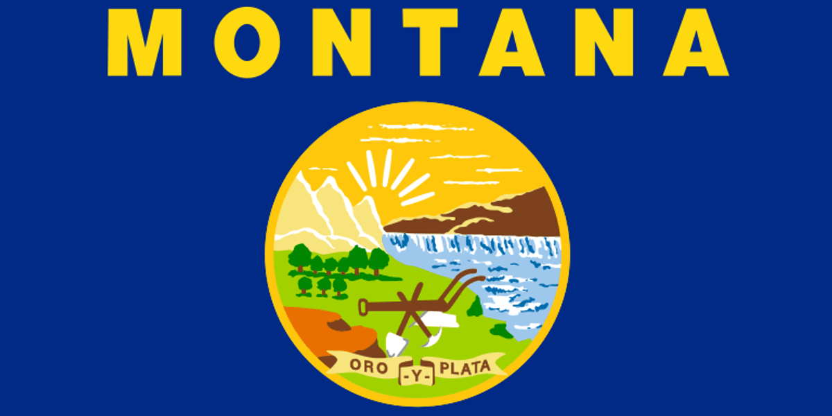 Actual Nazis Use Montana Drag Ban To Get Trans Authors Banned From Reading At Libraries, So That's Bad - Vimarsana News