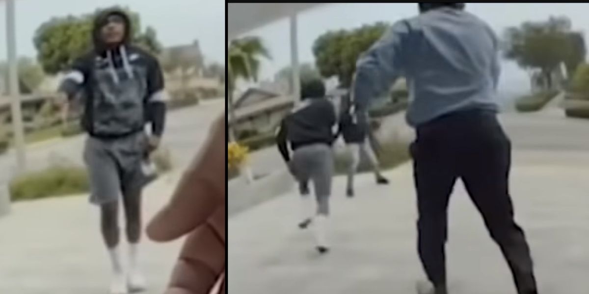 NextImg:Tesla video shows Marine veteran fight off 2 attackers in California with the help of landscapers