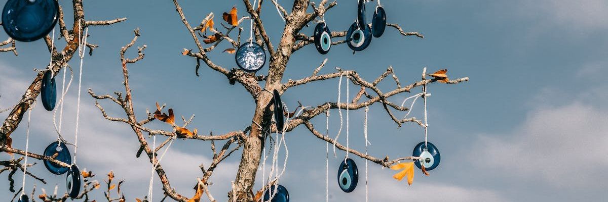 a tree with evil eye amulets hanging from it