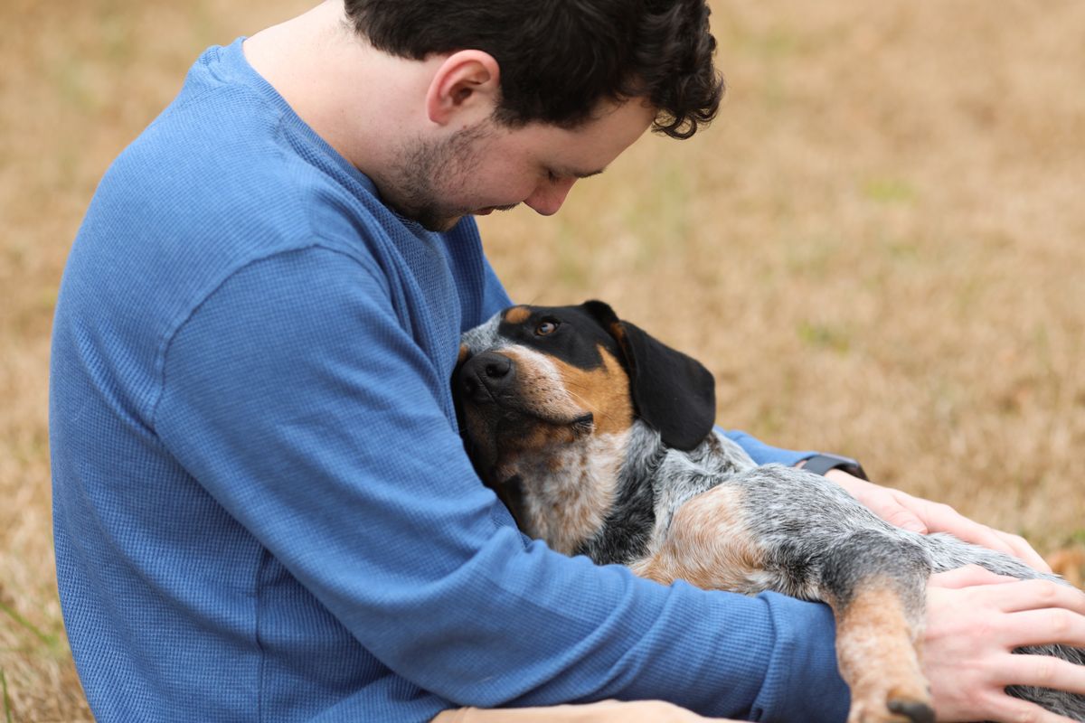 Neighborhood gives dog with cancer a final walk full of joy - Upworthy