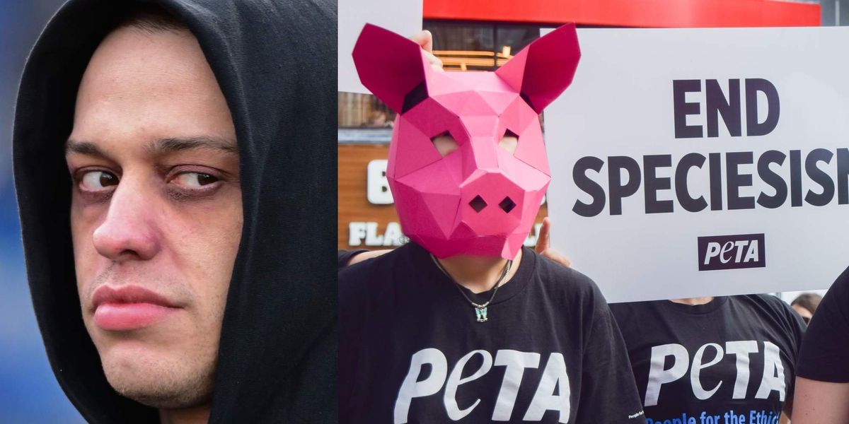 NextImg:Comedian Pete Davidson rips into PETA on leaked voicemail over new puppy: 'F*** you and suck my ****!”