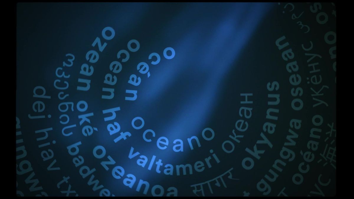 La Bocconi studia la «blue economy»