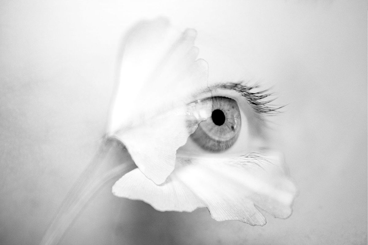 Brescia Photo Festival 2023