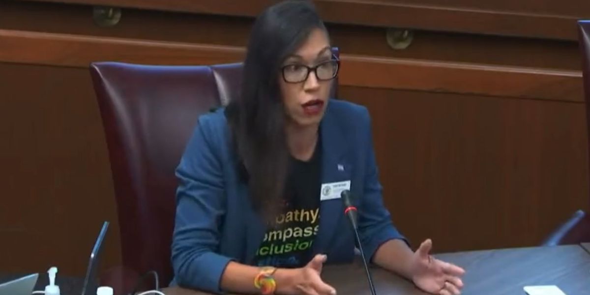 NextImg:Maryland Democrat equates American Muslims with 'white supremacists' over their support for parental rights and opposition to LGBT propaganda