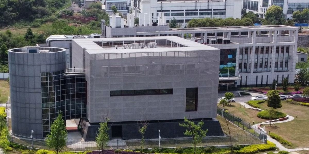 NextImg:Wuhan lab engineered dangerous mutant coronaviruses, worked with Chinese military to develop bioweapons and pre-pandemic COVID vaccines, according to eye-opening report