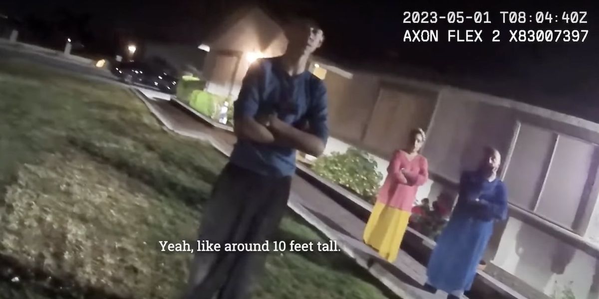 NextImg:News station's wild story: 911 caller sees 10-foot-tall 'aliens' with 'big eyes' in backyard, says 'they're not human'; cop on way to scene confesses, 'I have butterflies, bro'