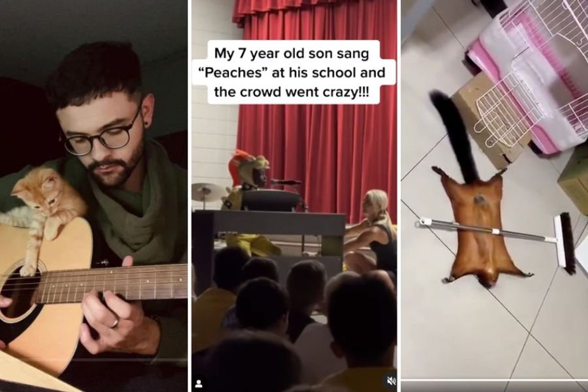 man and kitten playing guitar, kid in Bowser costume singing at piano, flying squirrel playing dead under broom handle
