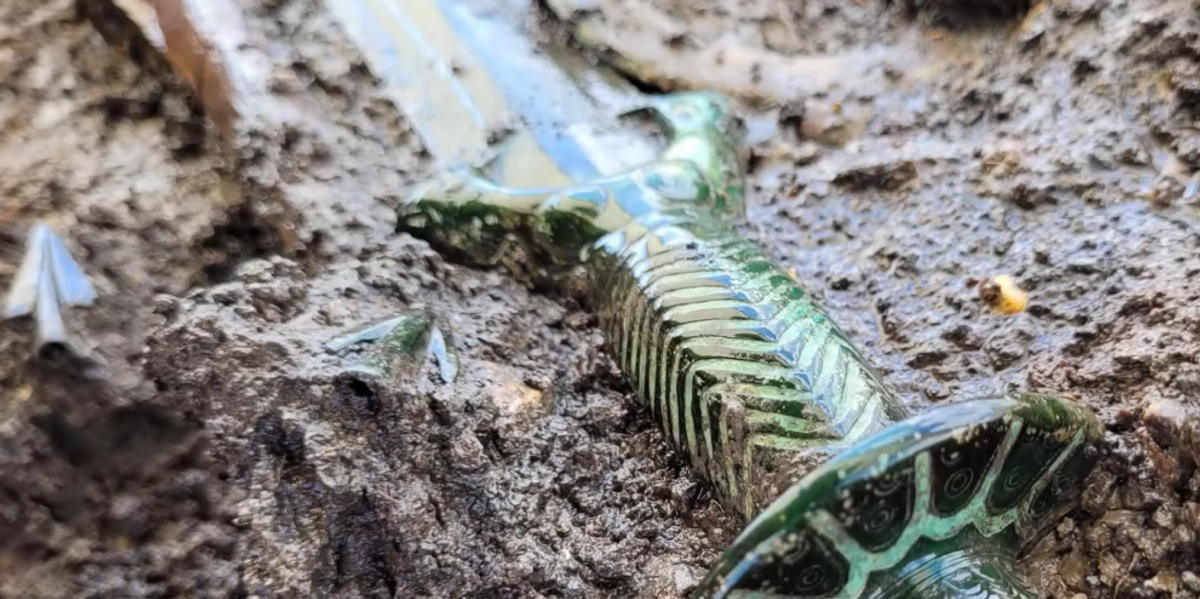 NextImg:Archaeologists unearth ancient sword from 3,000 years ago at German burial site in 'extraordinary' condition