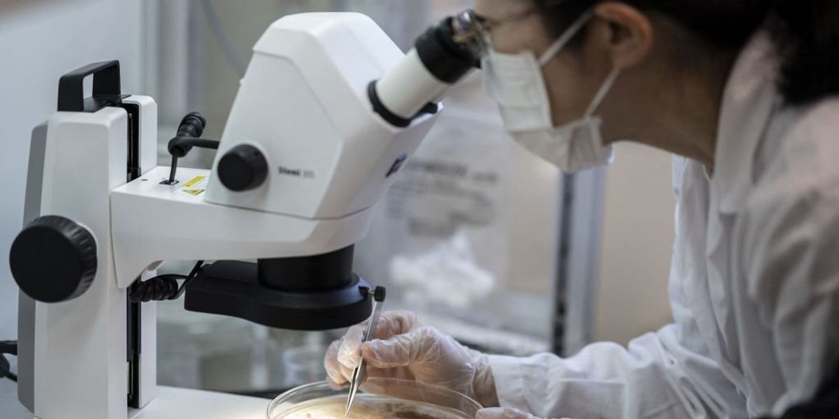 Humans might inhale 16.2 bits of plastic hourly — approximately a credit card per week: Study