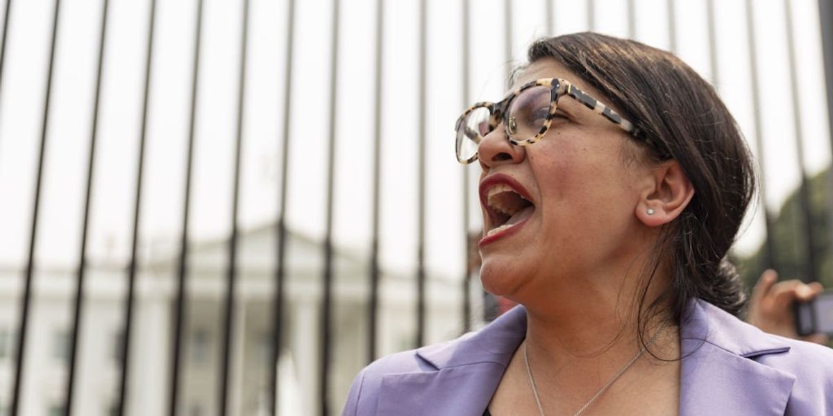 NextImg:Rep. Rashida Tlaib urges climate alarmists planning on blocking American highways and vandalizing art to be 'much more aggressive'