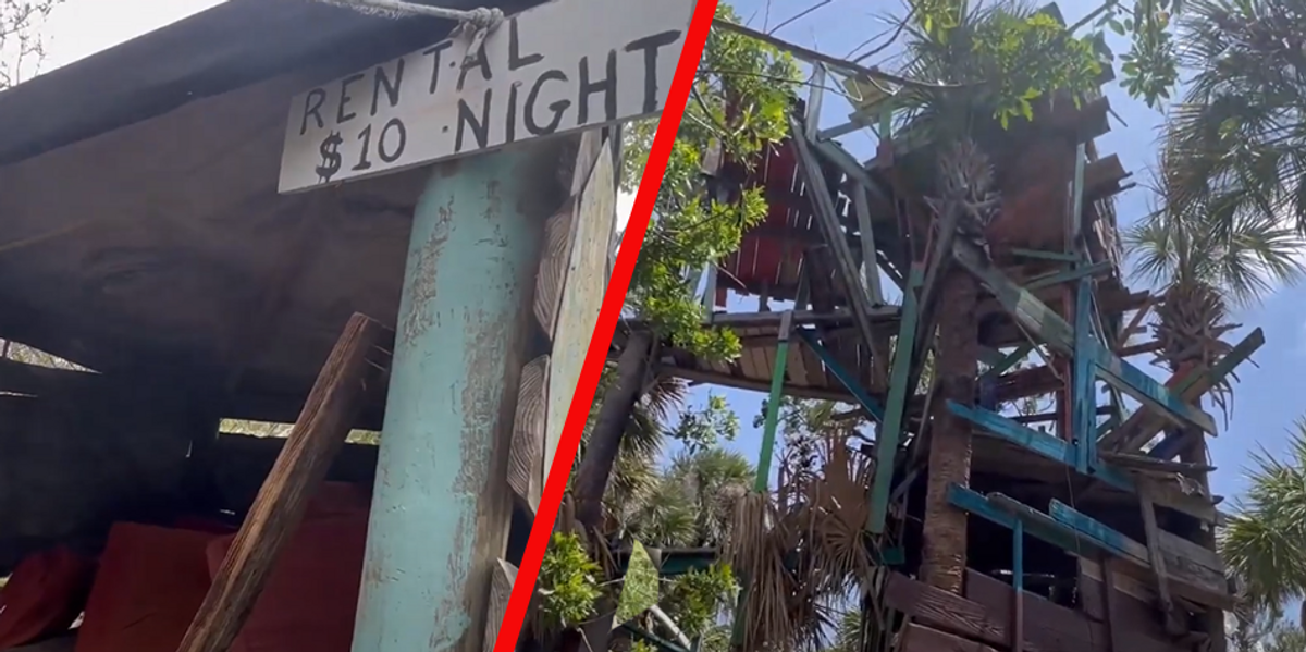 Squatters take over Florida 'Meth Island,' erect 4-story treehouse and shantytown