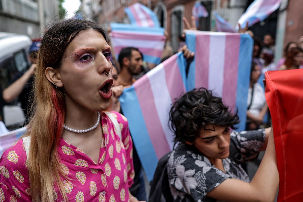 La femminista smaschera gay e trans. «Puntano al parto senza la donna»