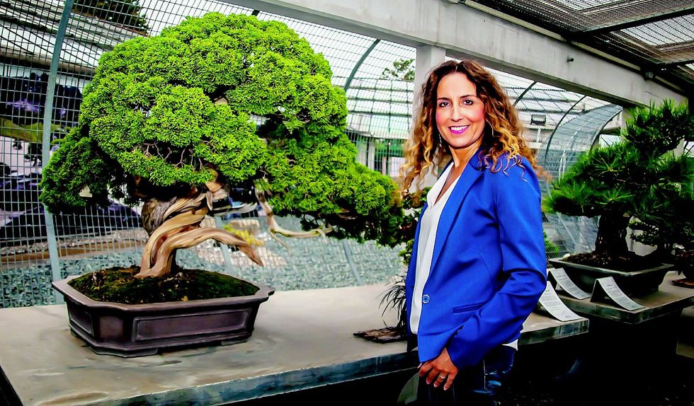 «Sono cresciuta a pane e bonsai. Il ficus millenario è uno di famiglia»