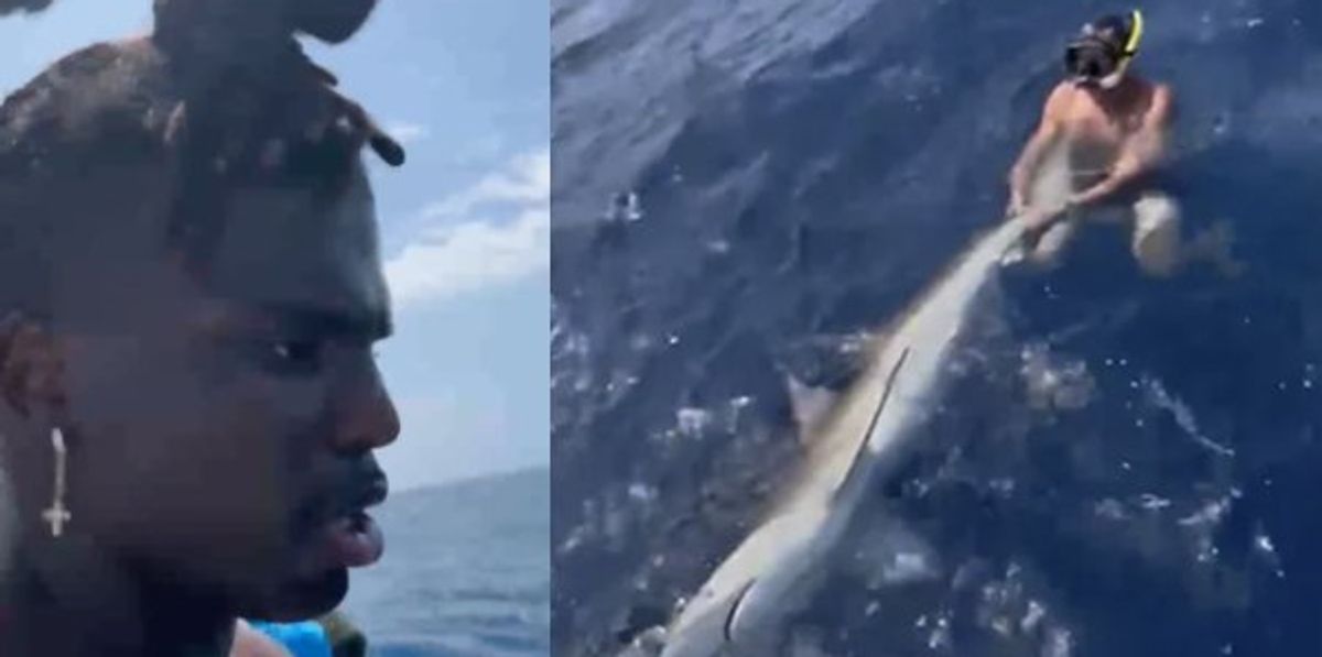 NextImg:Video: NFL super agent Drew Rosenhaus slammed as 'wannabe macho man' by PETA for wrestling shark