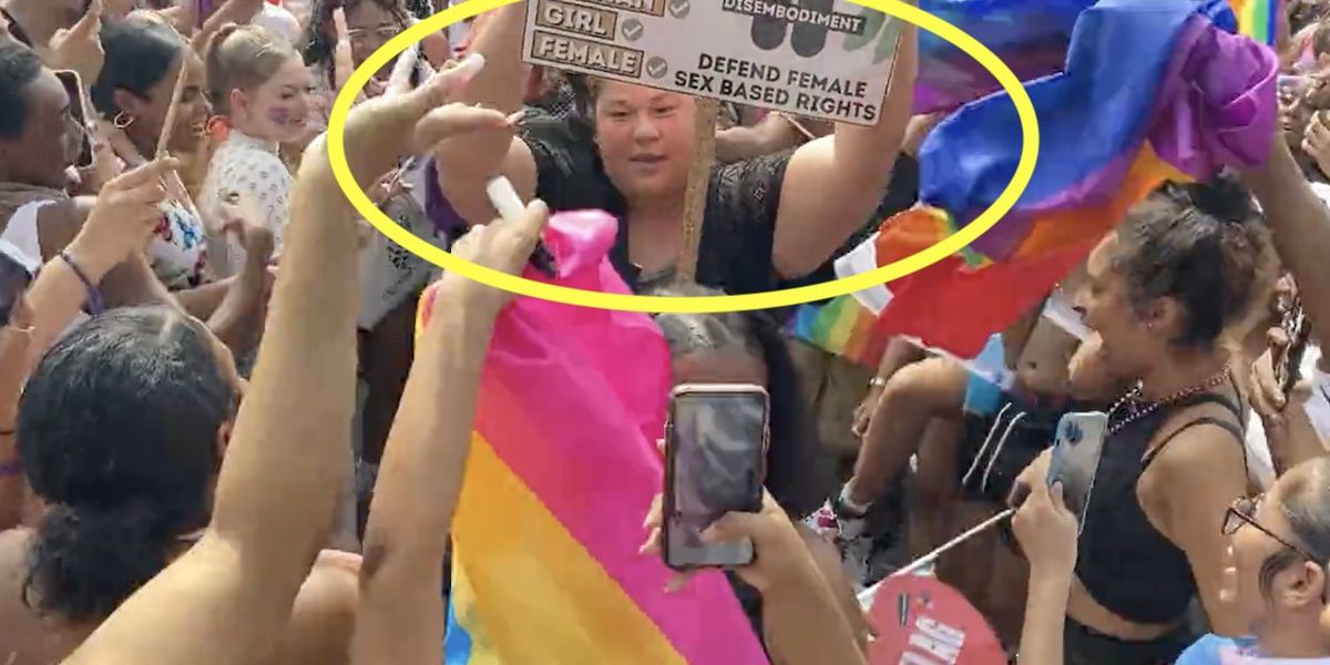 NextImg:Scary video: Pro-LBGTQ mob gangs up on, gets physical with lone woman holding sign defending female rights