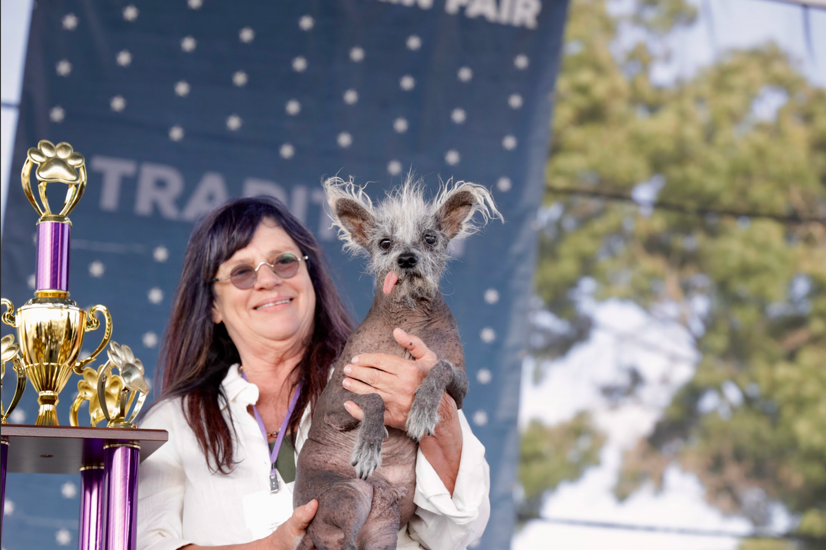 world's ugliest dog