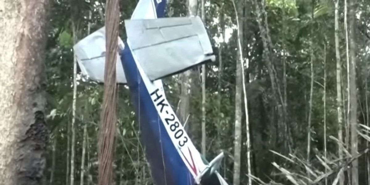 NextImg:'Miracle!' 4 young kids survive 40 days alone in Colombian jungle after first surviving fatal plane crash