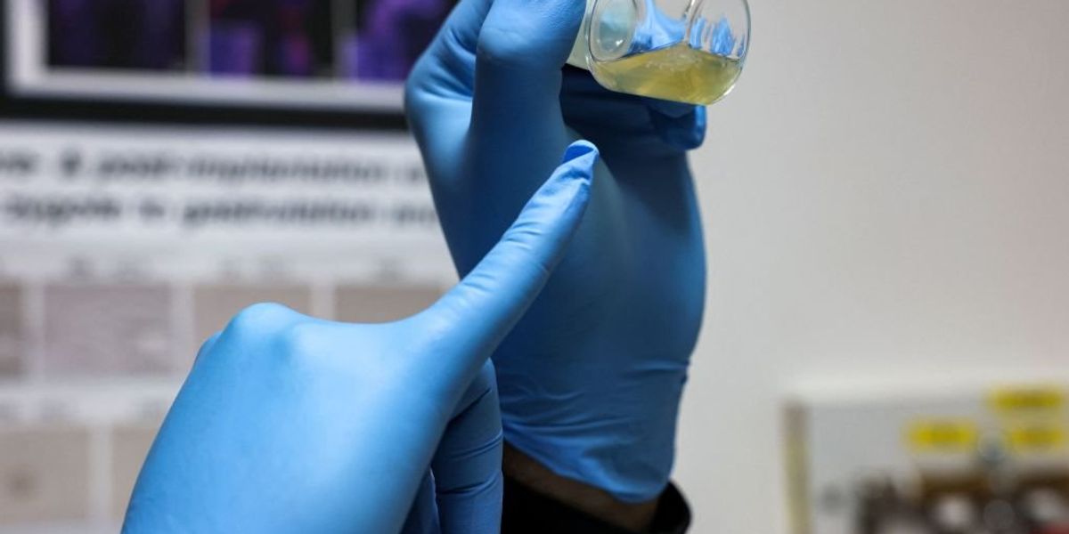 NextImg:Scientists create synthetic human embryos, eliminating need for sperm and eggs, thereby raising major ethical concerns