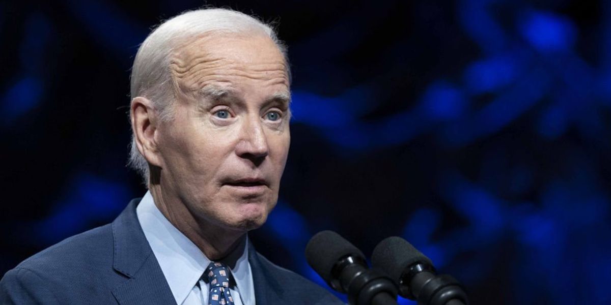 Biden goes 'off script' and promises to build a railroad across the Indian Ocean, prompting mockery: 'Ambitious'