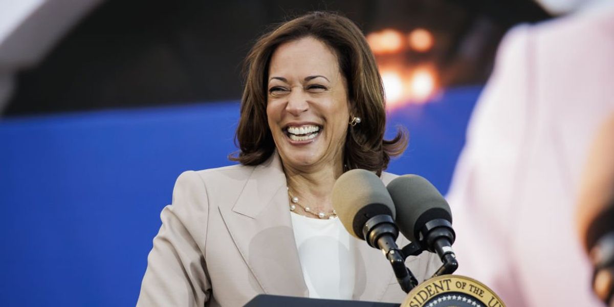 Critics pounce on VP Kamala Harris for demanding 'an assault weapons ban'